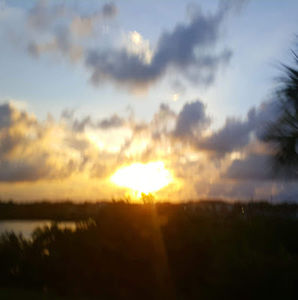 Meet your Posher, Lynn